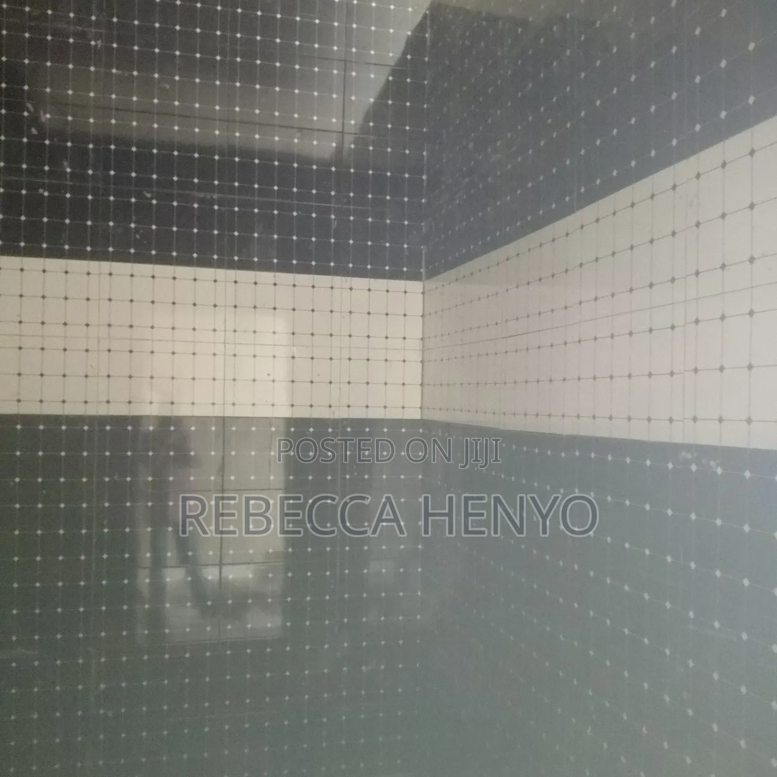 Professional Tiling Services