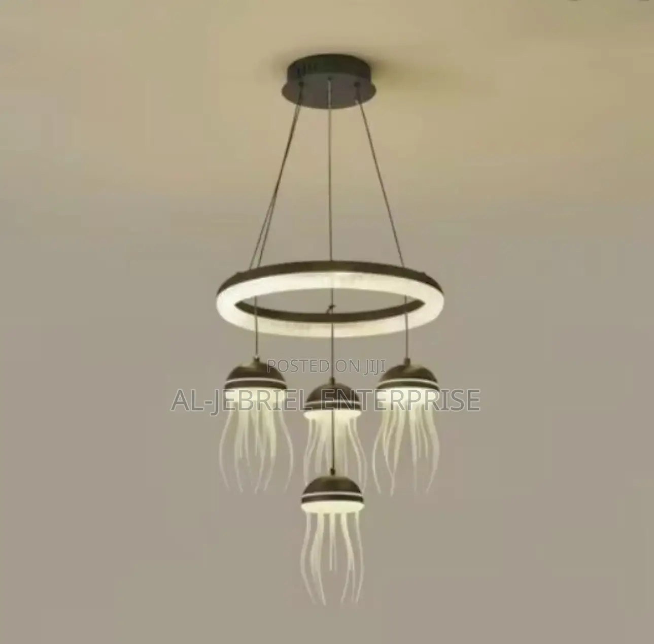 Hanging Ceiling Light