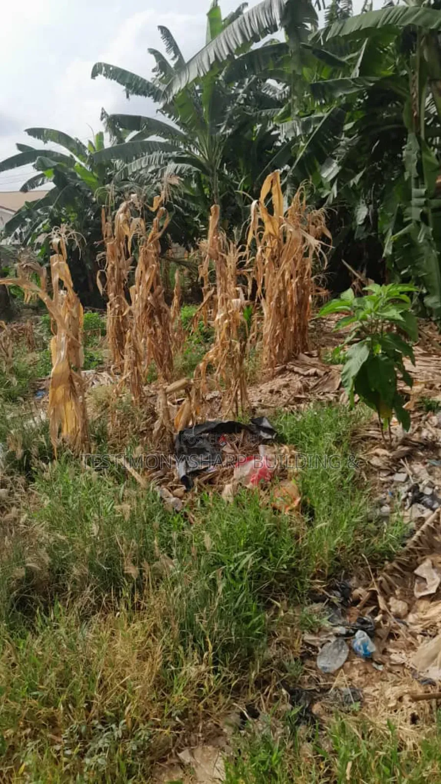 2 Plots of Land for Sale at Oyarifa