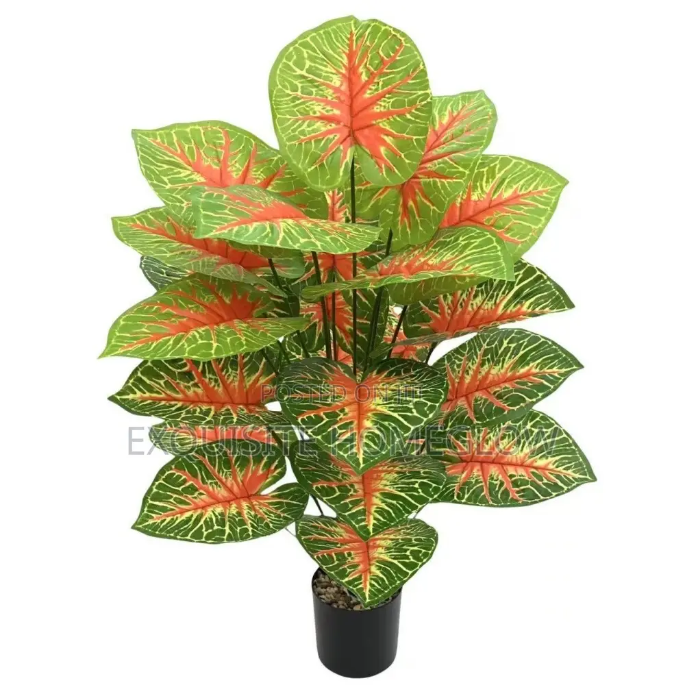 Artificial Monstera Plant Available In 80cm