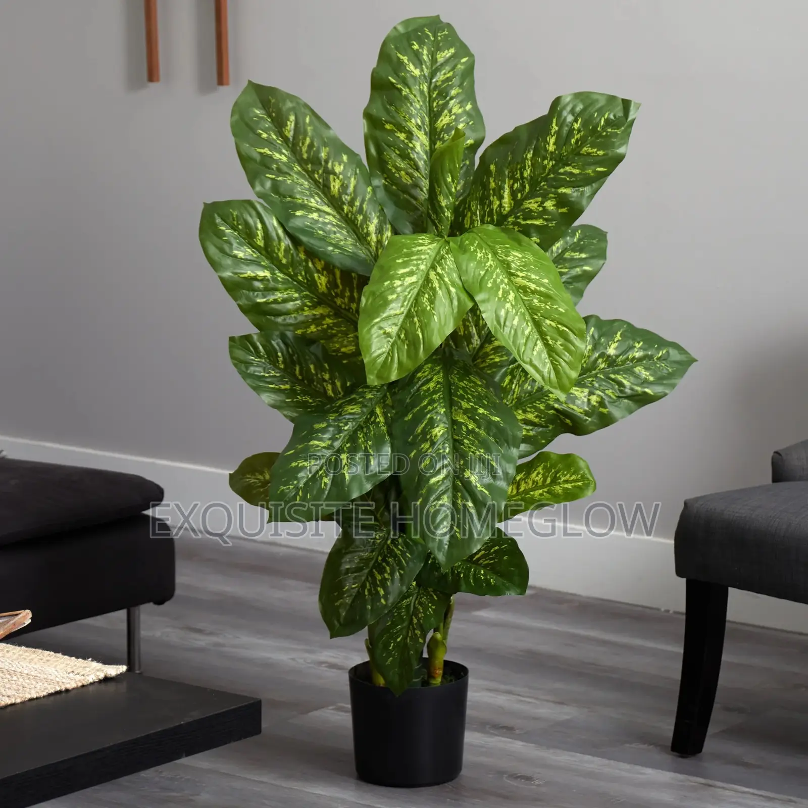 Artificial Dieffenbachia Plant Available In 80cm Tall