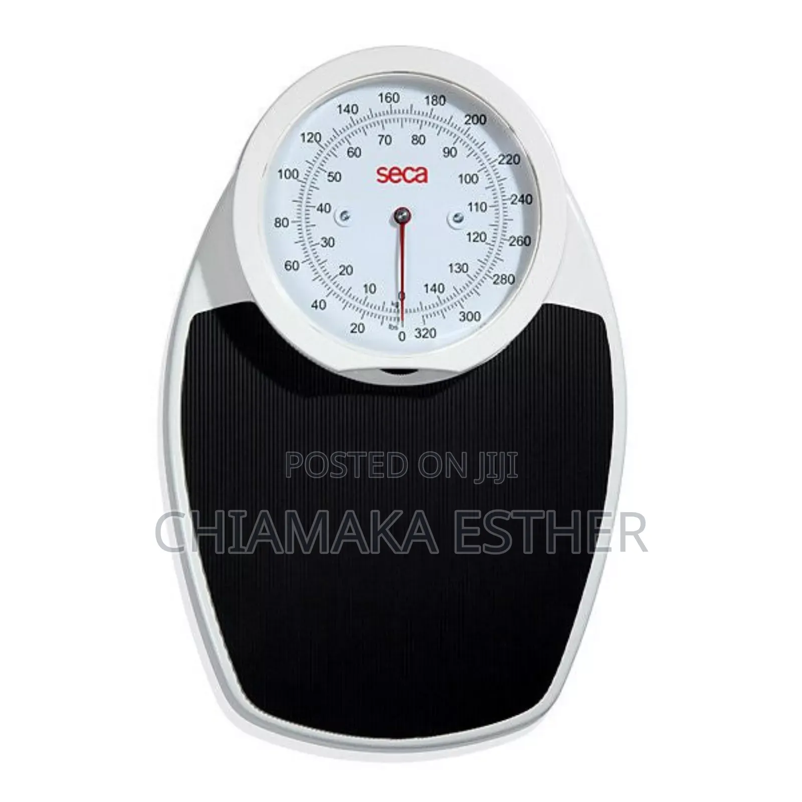 Medical Seca Scale
