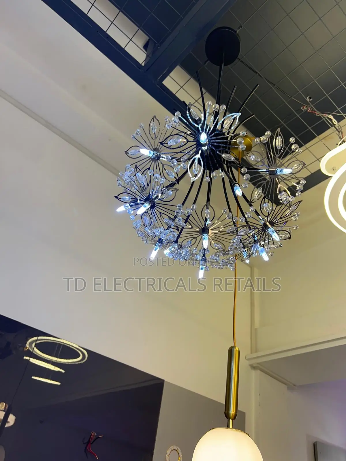 Pendant Lights