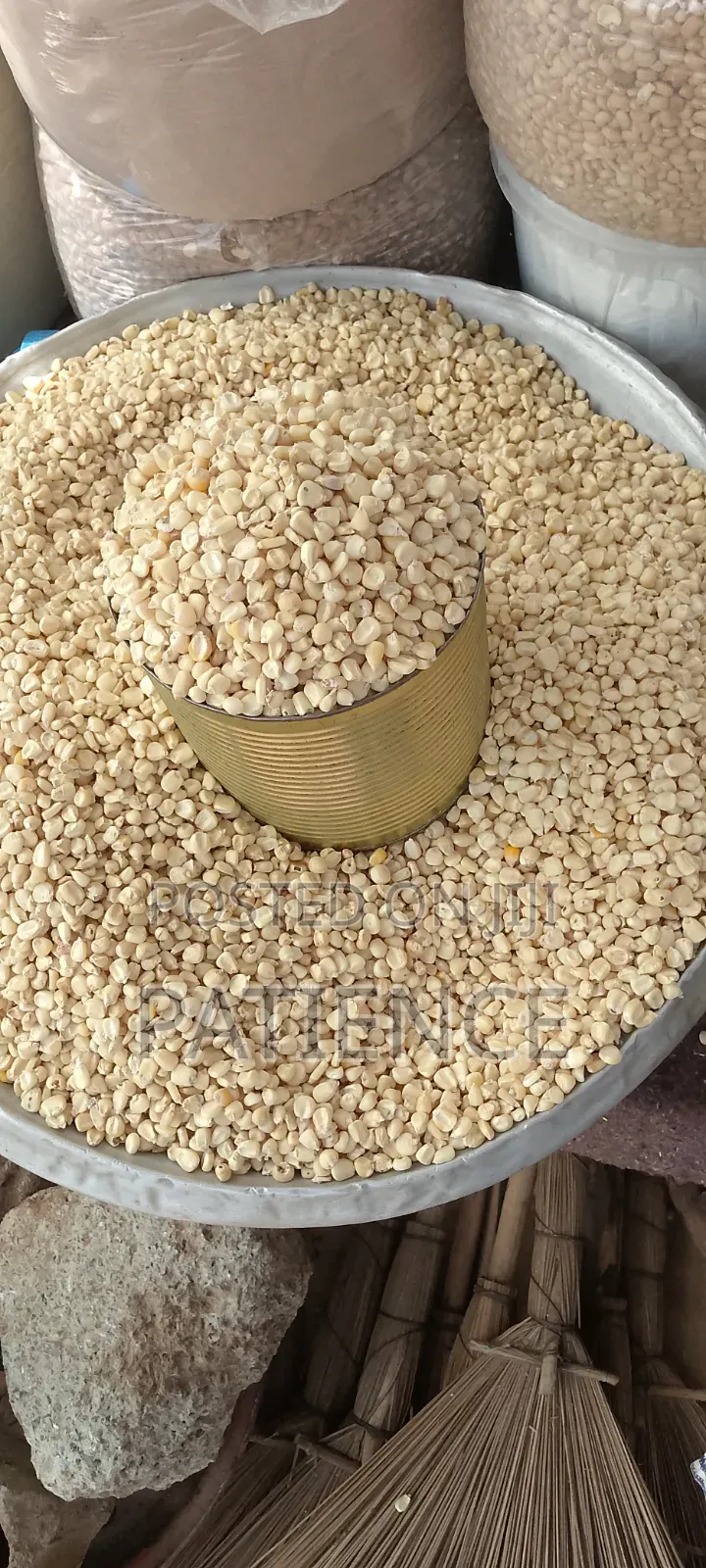 Fresh Corn