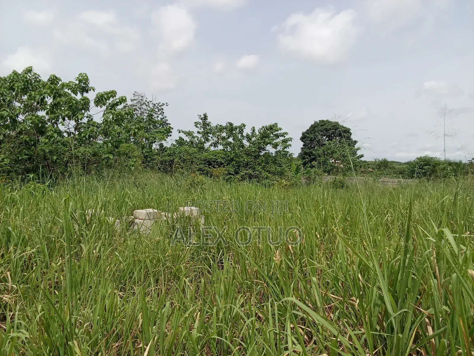 Plot of Land Abuakwa Darbaa