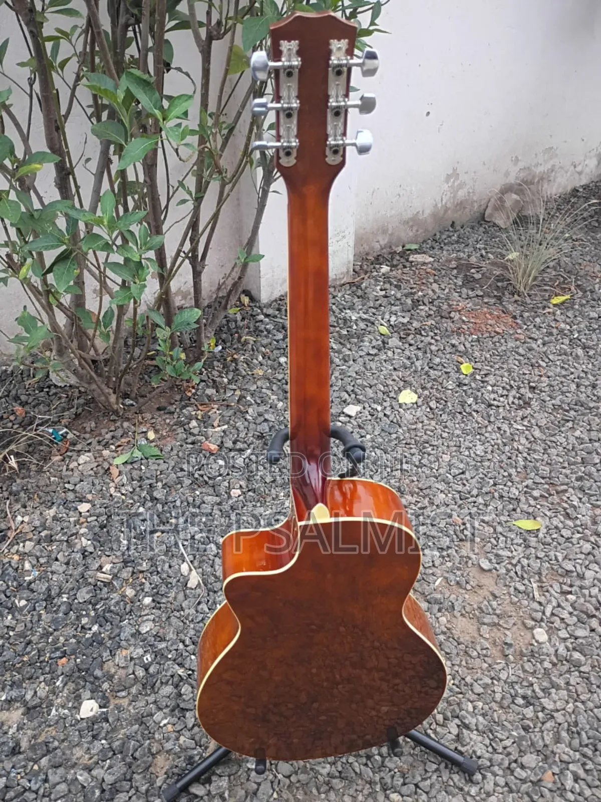 King Lion Kl-Rfy-39c Acoustic Guiar