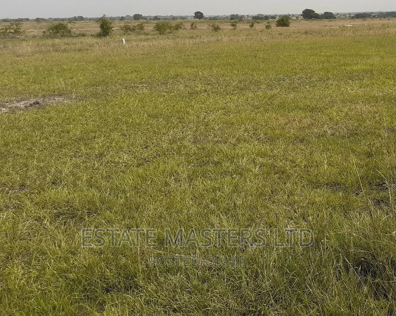 Gated Serene Plots Near Central University