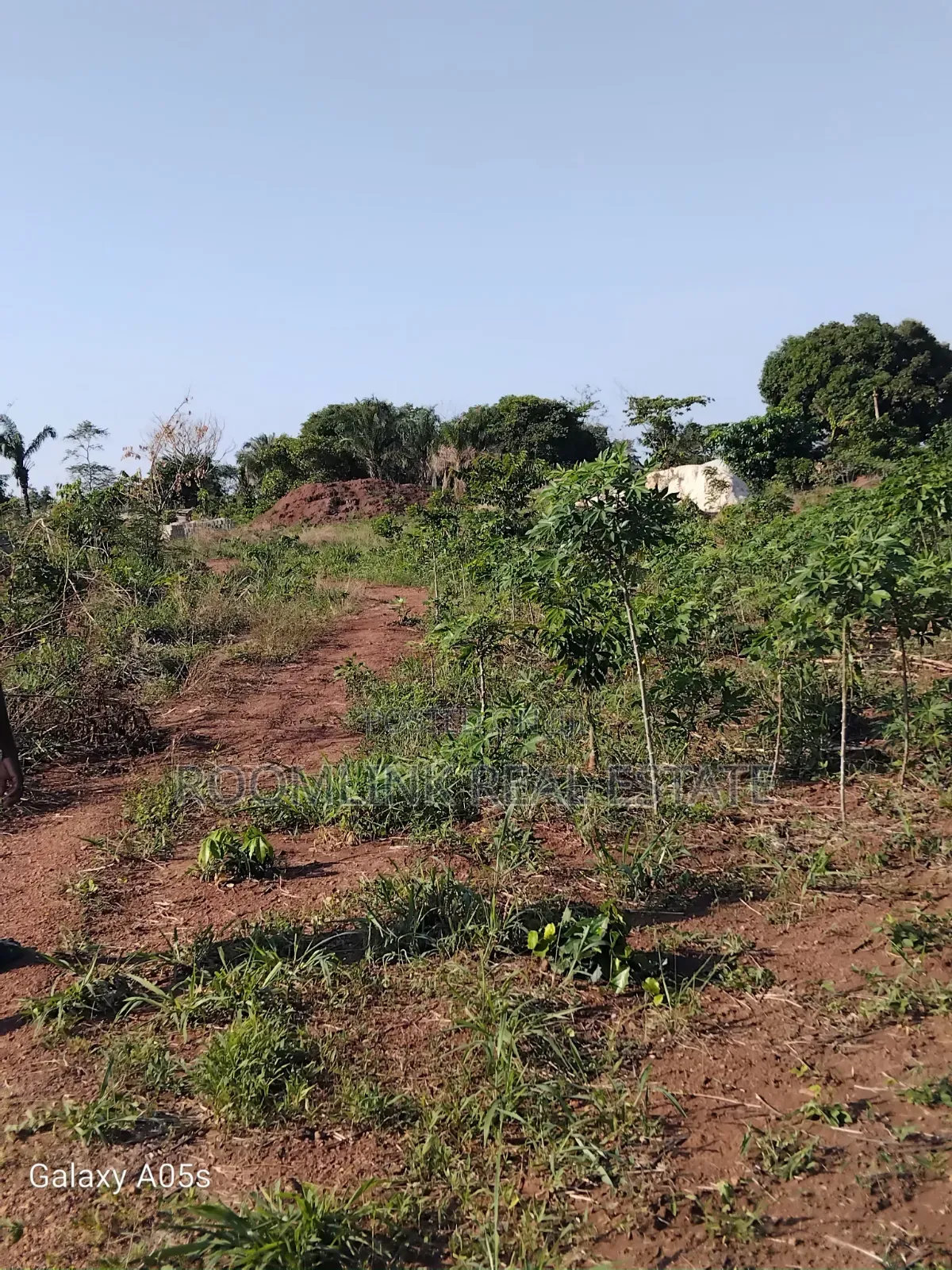 Plot at Dumasua Ringroad Area