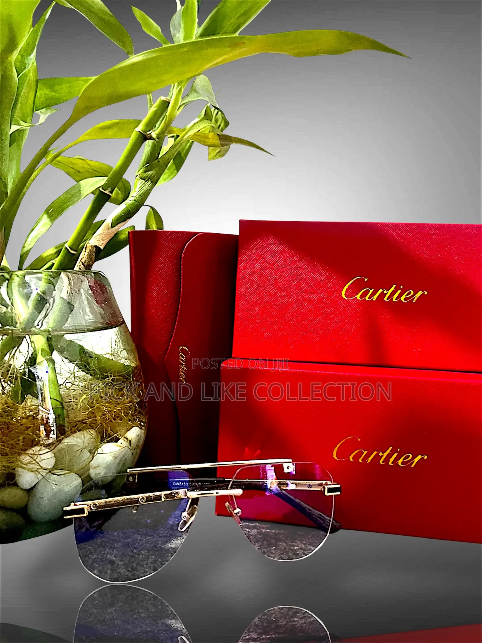 Gold-accented Lenses — Luxury In Every Glance.