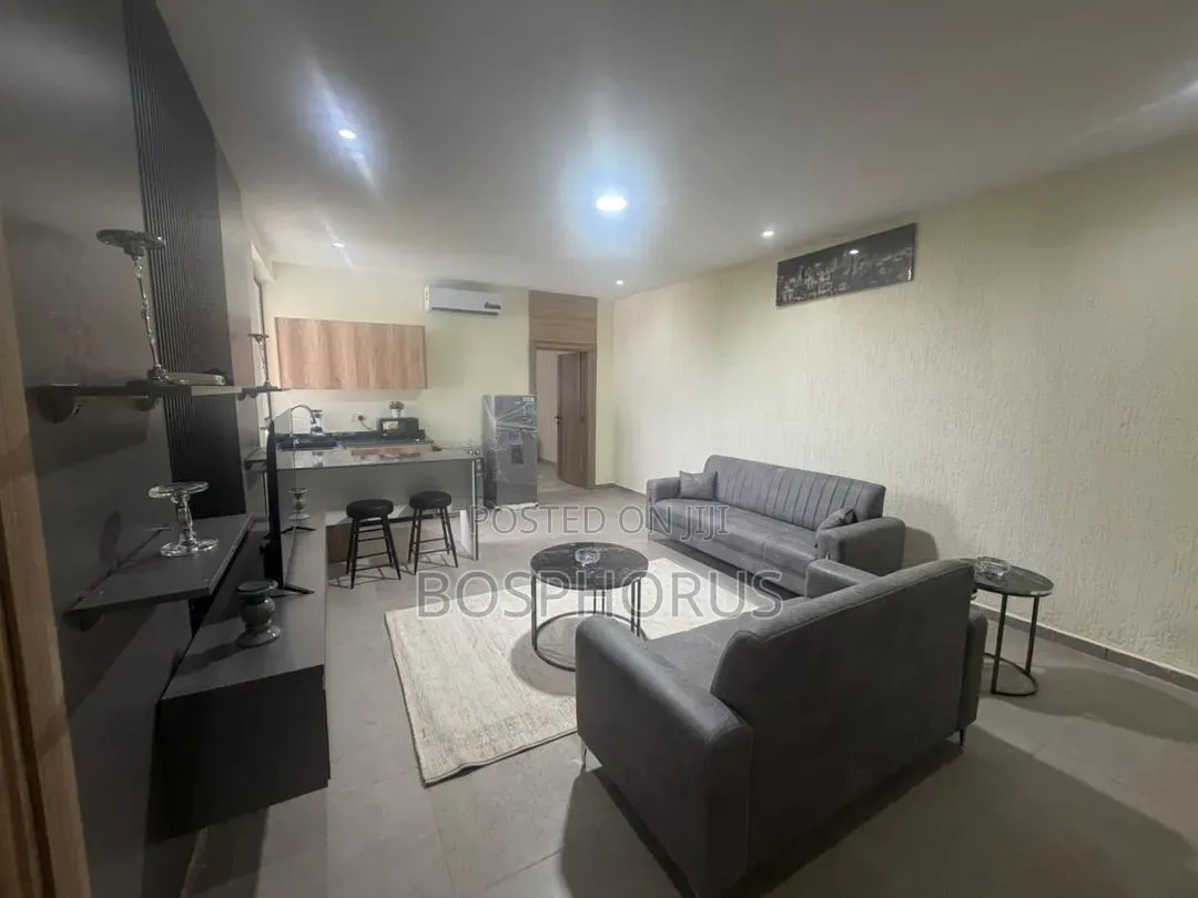 Furnished 2bdrm Apartment in Labone for rent