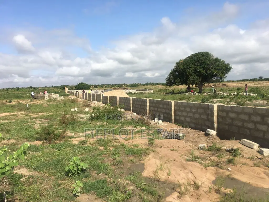 Starter Plots at Dawhenya–Buerko