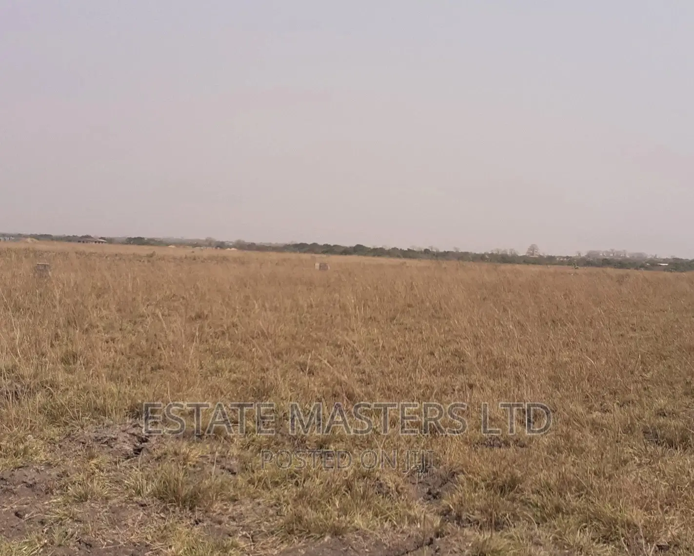 Exquisite Serviced Plot at Tsopoli