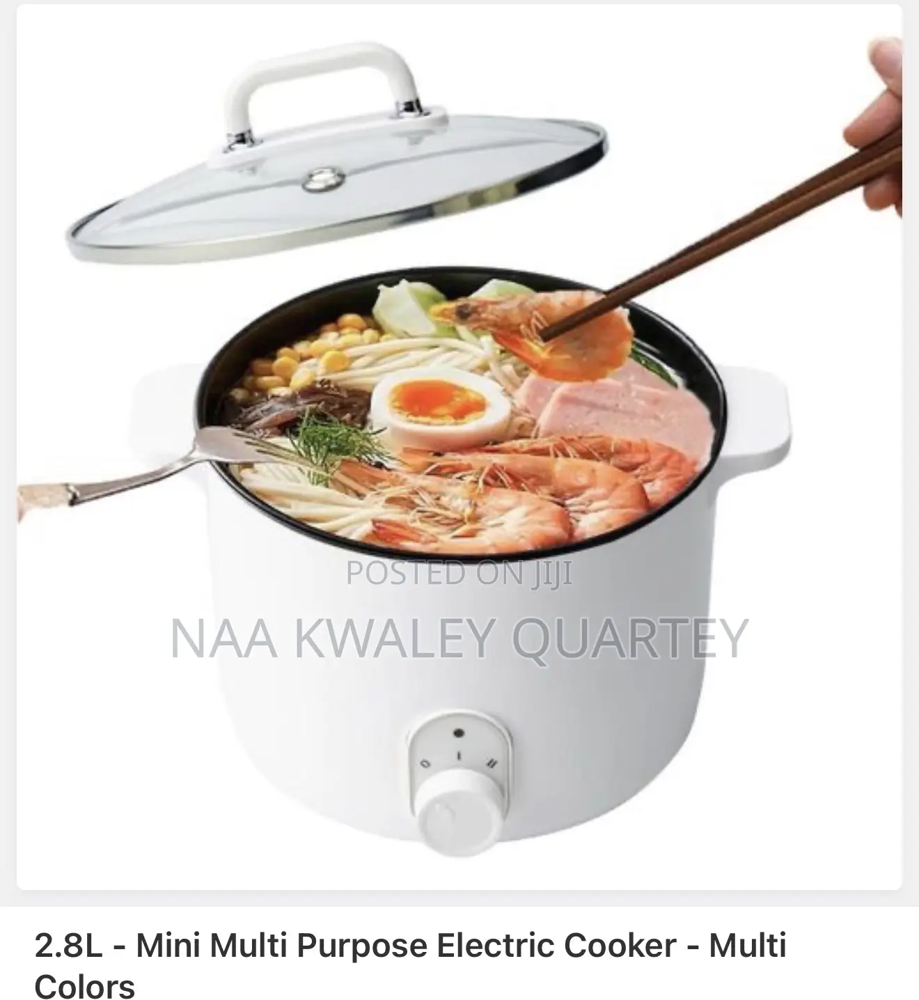 2.8l Electric Cooking Pot