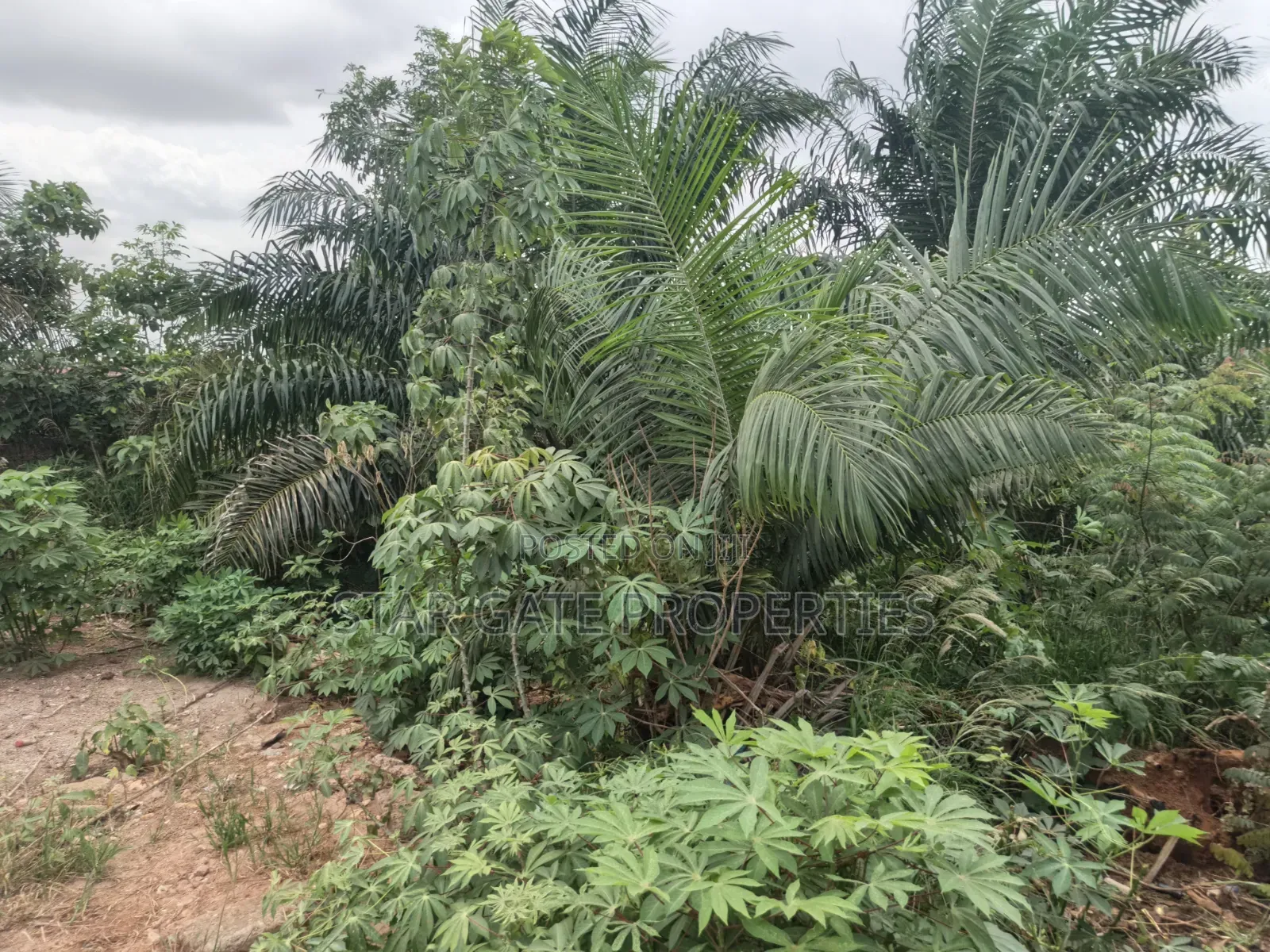 Plot for Sale at Atonsu Kuwait