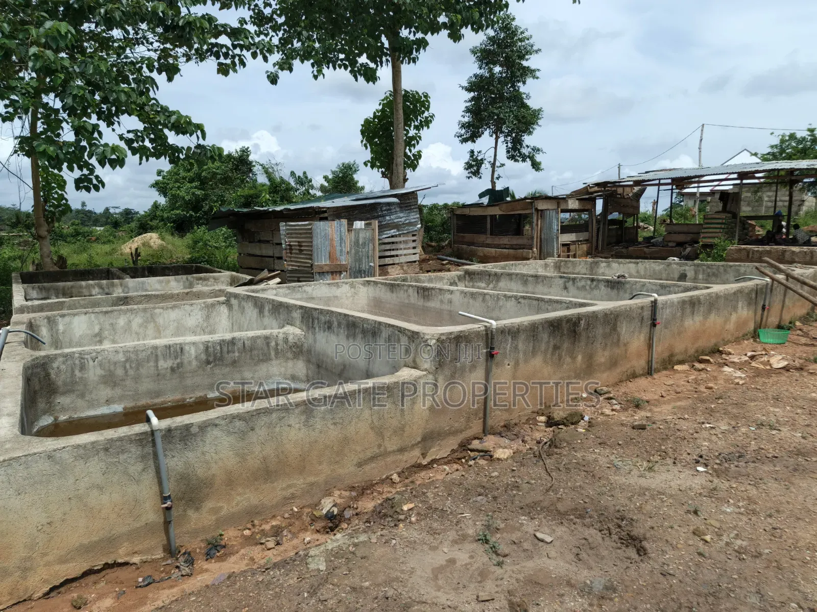 Fish Farm for Sale at Nyinahin ( Abuakwa/ Bibiani Road)