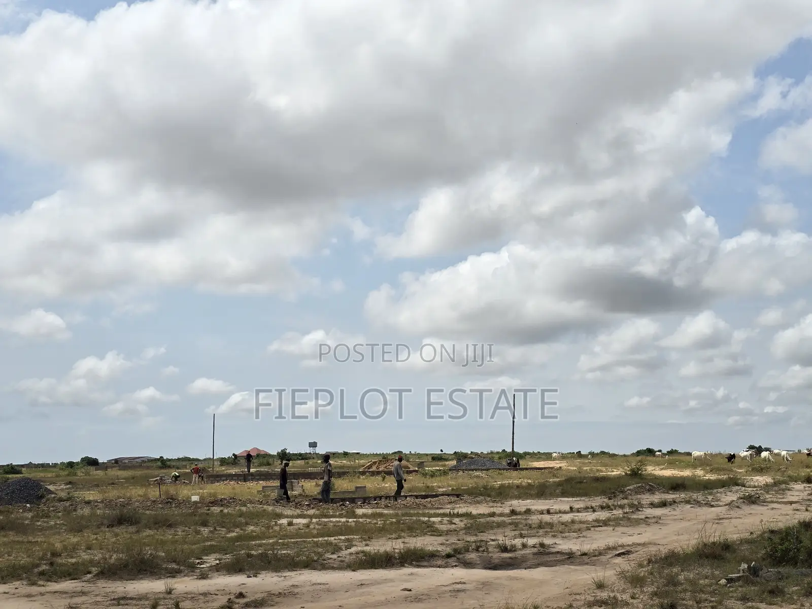 Prime Litigation-Free Land at Tsopoli – Secure Your Investment Today
