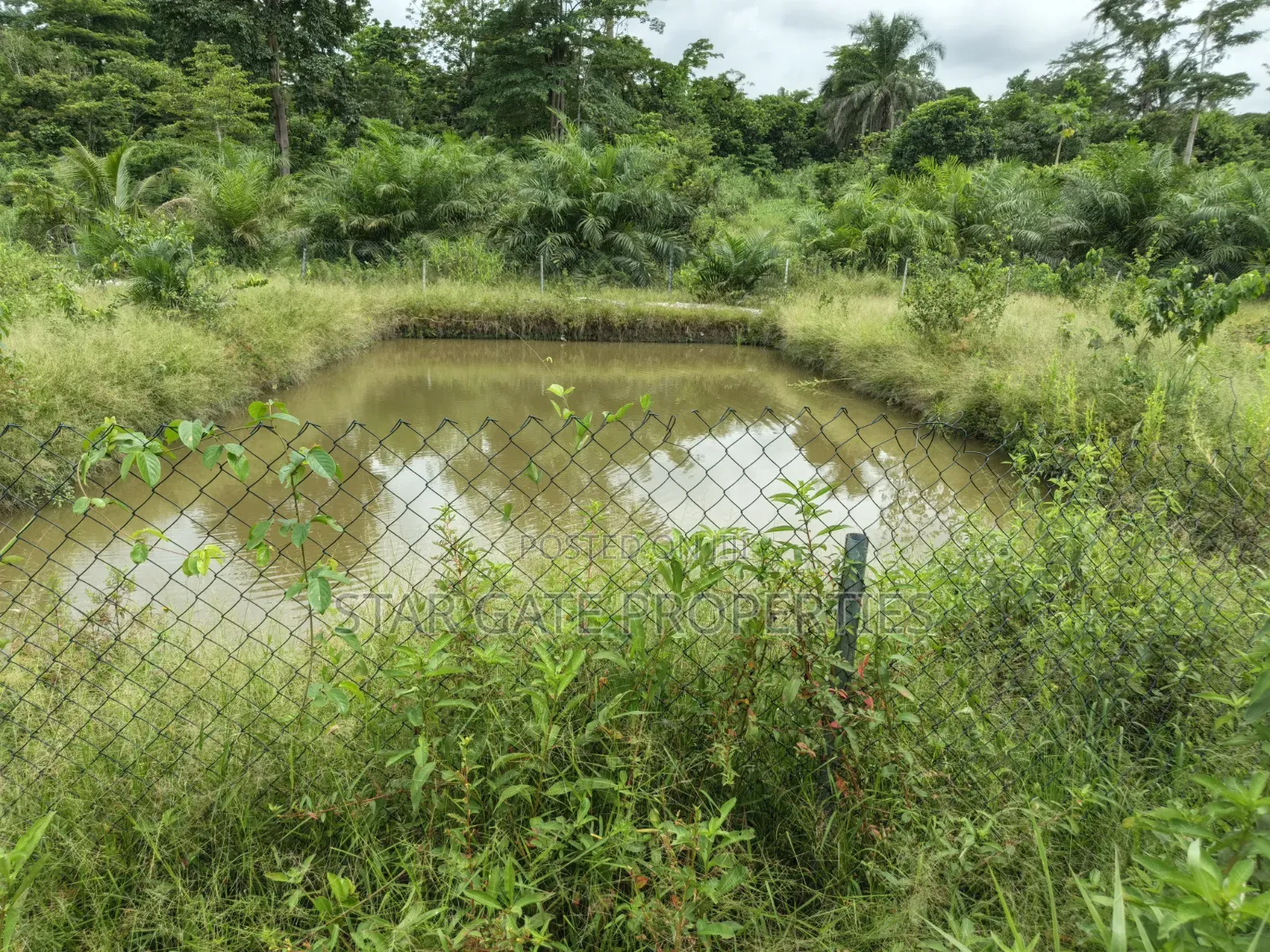 Fish Pond For Sale ( On 16 Plots, 4 Acres Land) Highway Road Side