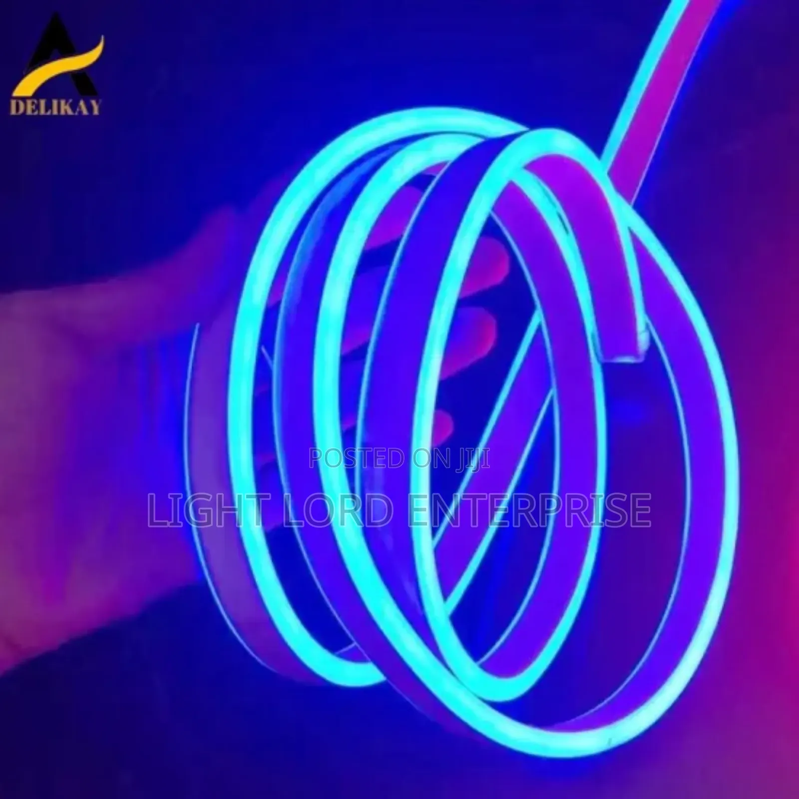 Neon Led Light 100meters Blue Color