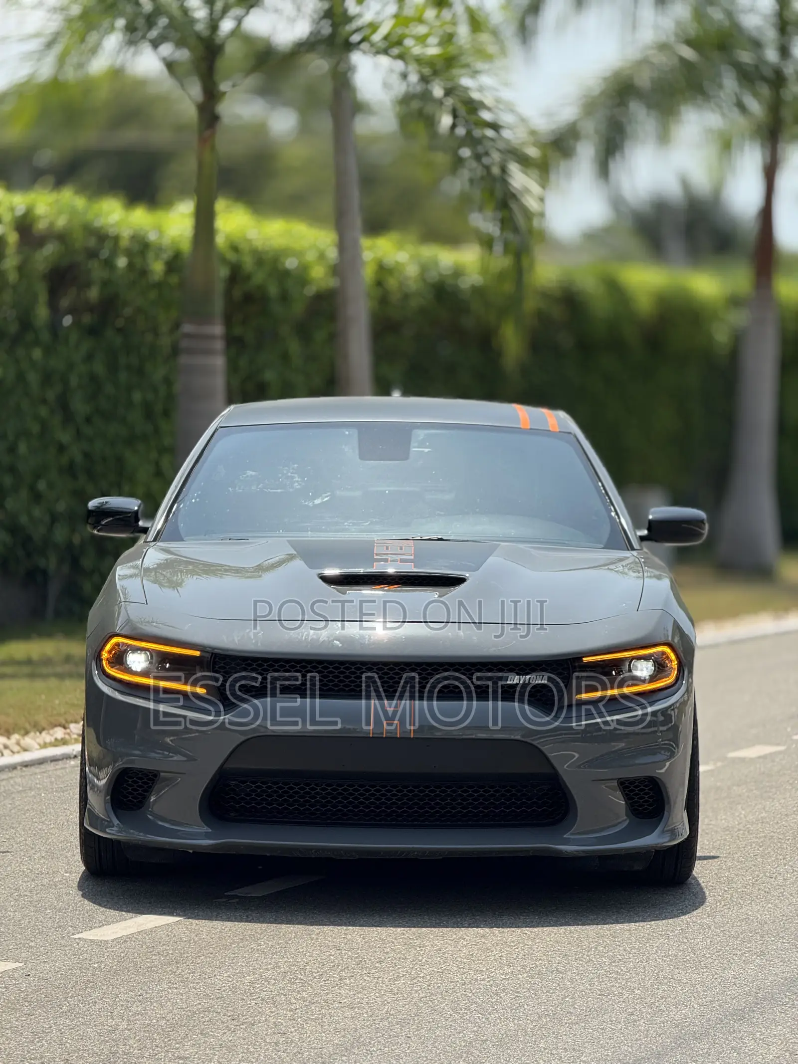 Dodge Charger Daytona 2024 Gray