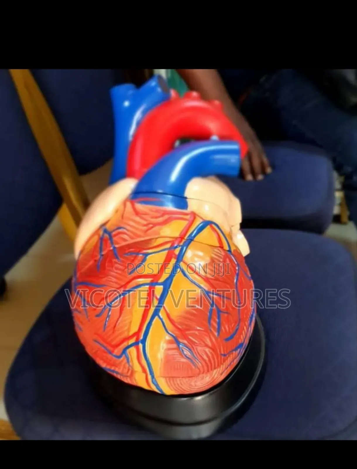 Heart Model
