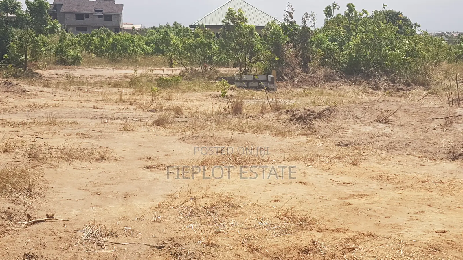 Spacious Demarcated Half Plot At Tsopoli Skyport City