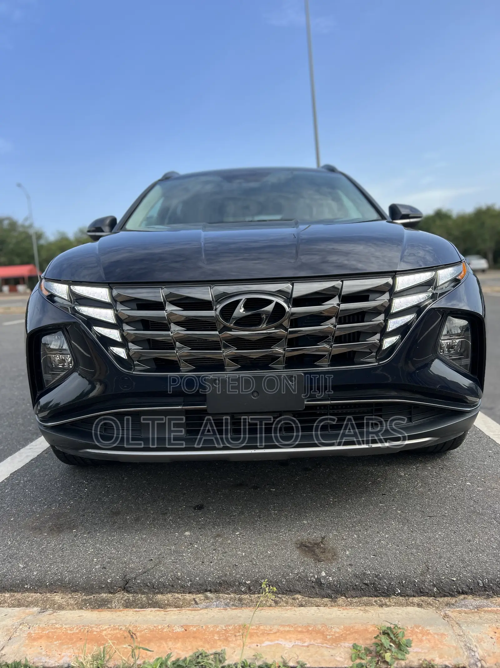 Hyundai Tucson Limited 2023 Blue