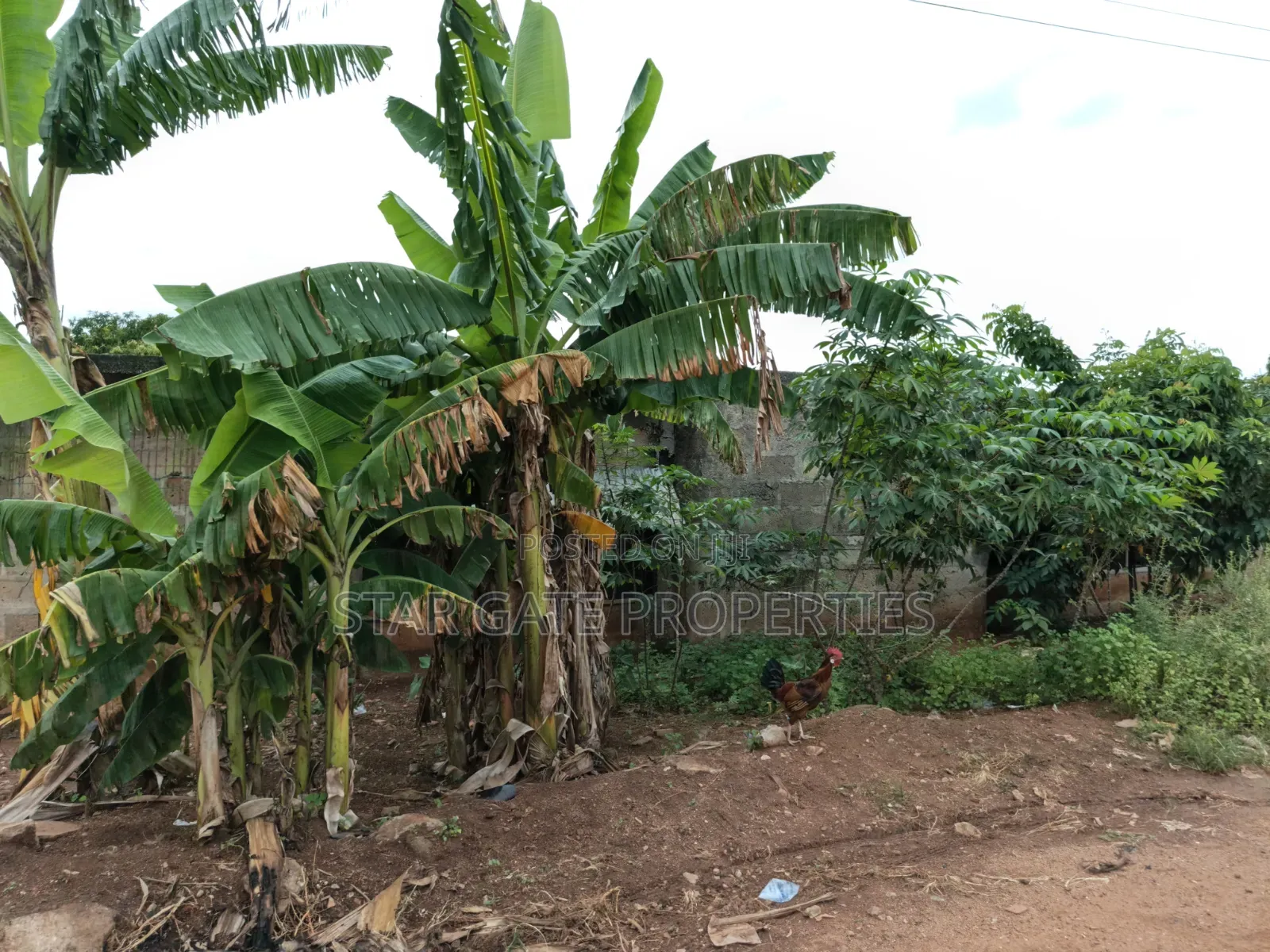 Hostel Plot ( 5 Plots) for Sale at Knust