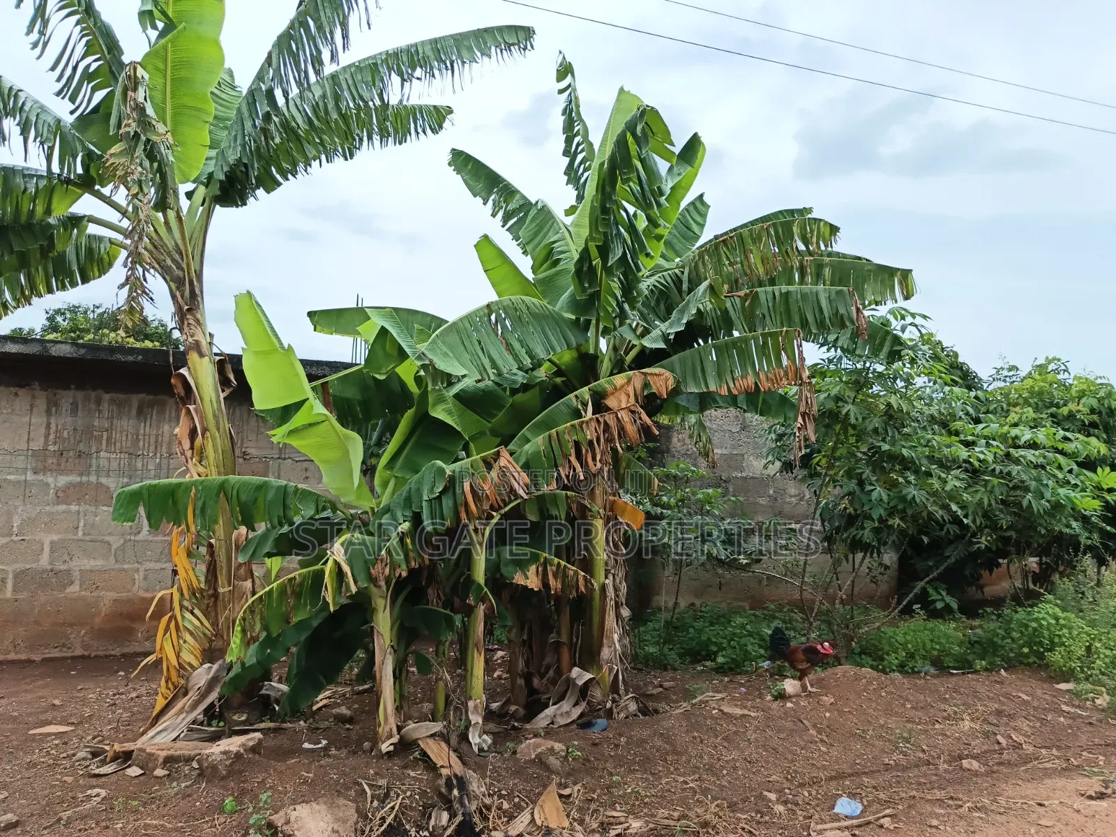 Hostel Plot ( 5 Plots) for Sale at Knust