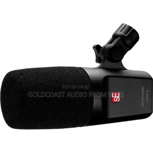 Se Electronics Dynacaster Dcm6 Active Dynamic Broadcast Mic WTH Preamp