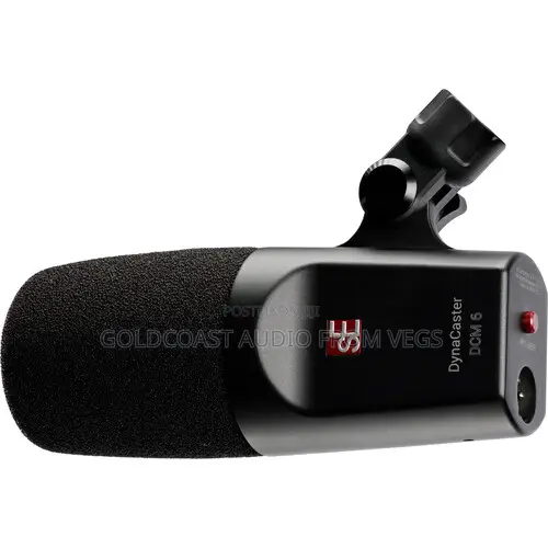 Se Electronics Dynacaster Dcm6 Active Dynamic Broadcast Mic WTH Preamp