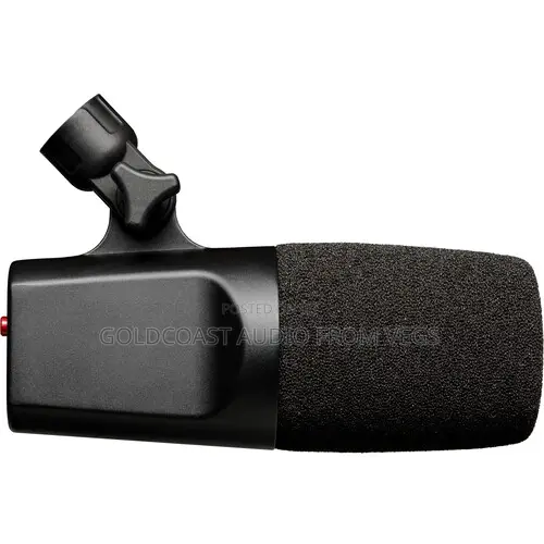 Se Electronics Dynacaster Dcm6 Active Dynamic Broadcast Mic WTH Preamp