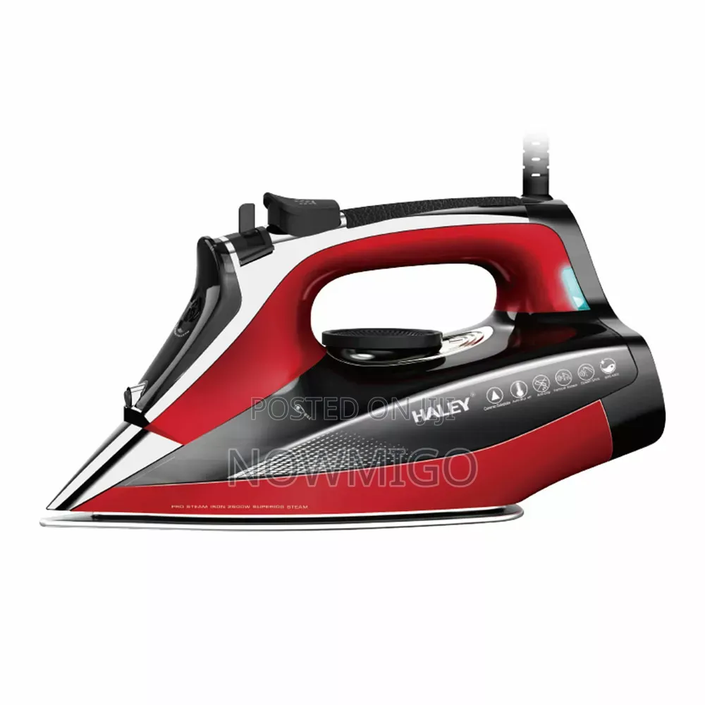 Haley Steam Iron