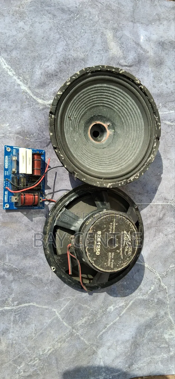 Used 12" Naked Speakers