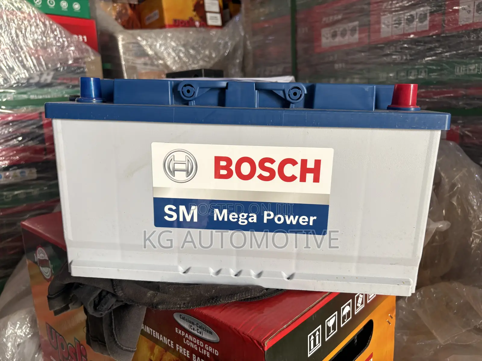 17 Plate Bosch