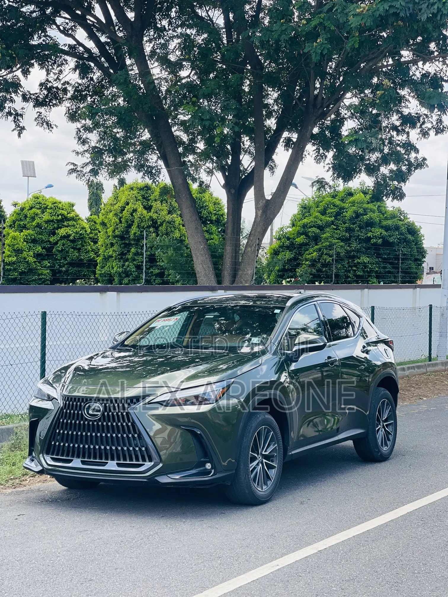 Lexus NX 350 Luxury AWD 2024 Green