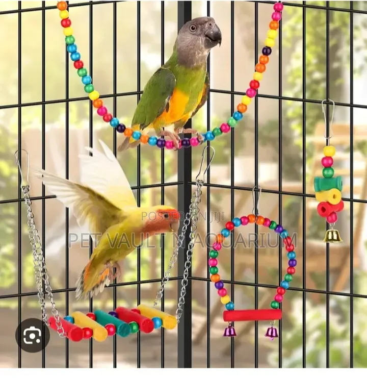 Play Toys (For All Types of Birds)
