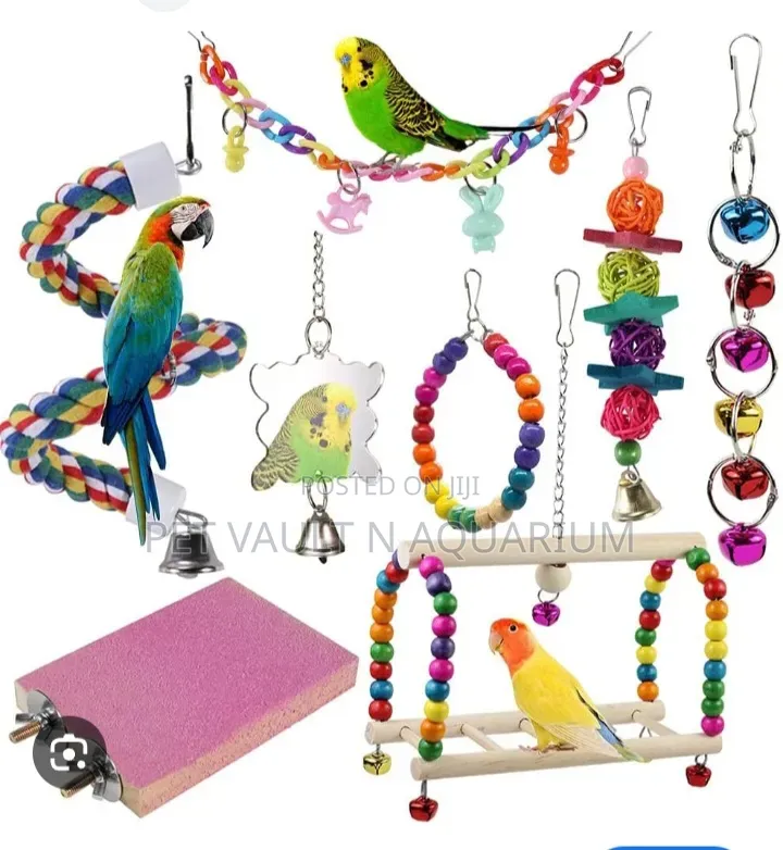 Play Toys (For All Types of Birds)