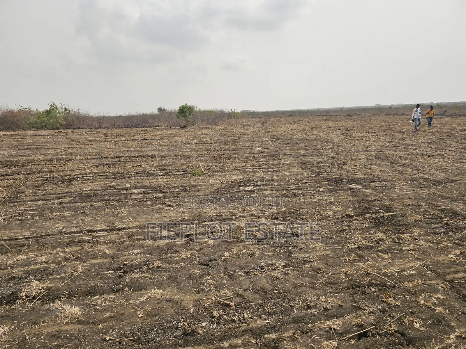 Full Plot at Tsopoli Skyport City