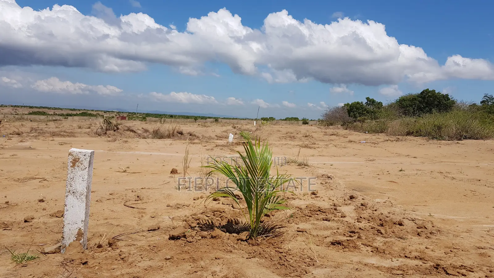 Full Plot at Tsopoli Skyport City