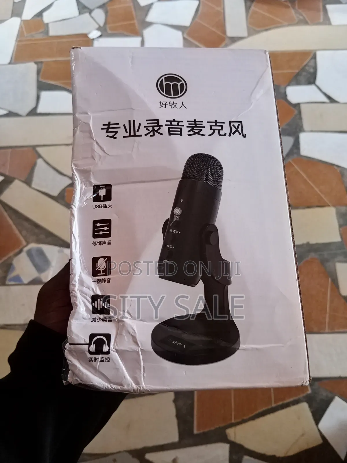 Studio Microphone