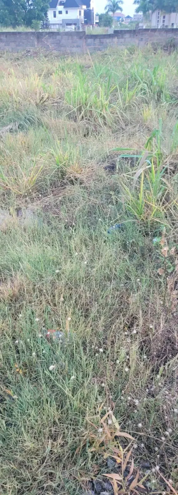 Half Plot of Land for Sale at East Legon Akatamanso