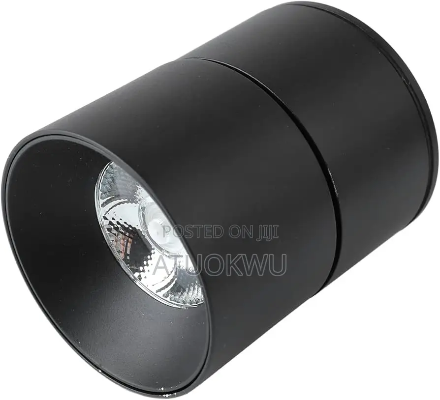 Ceiling Light