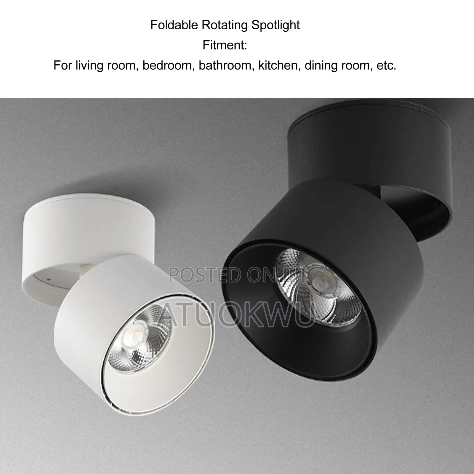 Ceiling Light