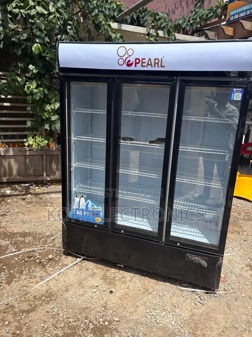 Energy-Efficient Pearl 780l Display Freezer