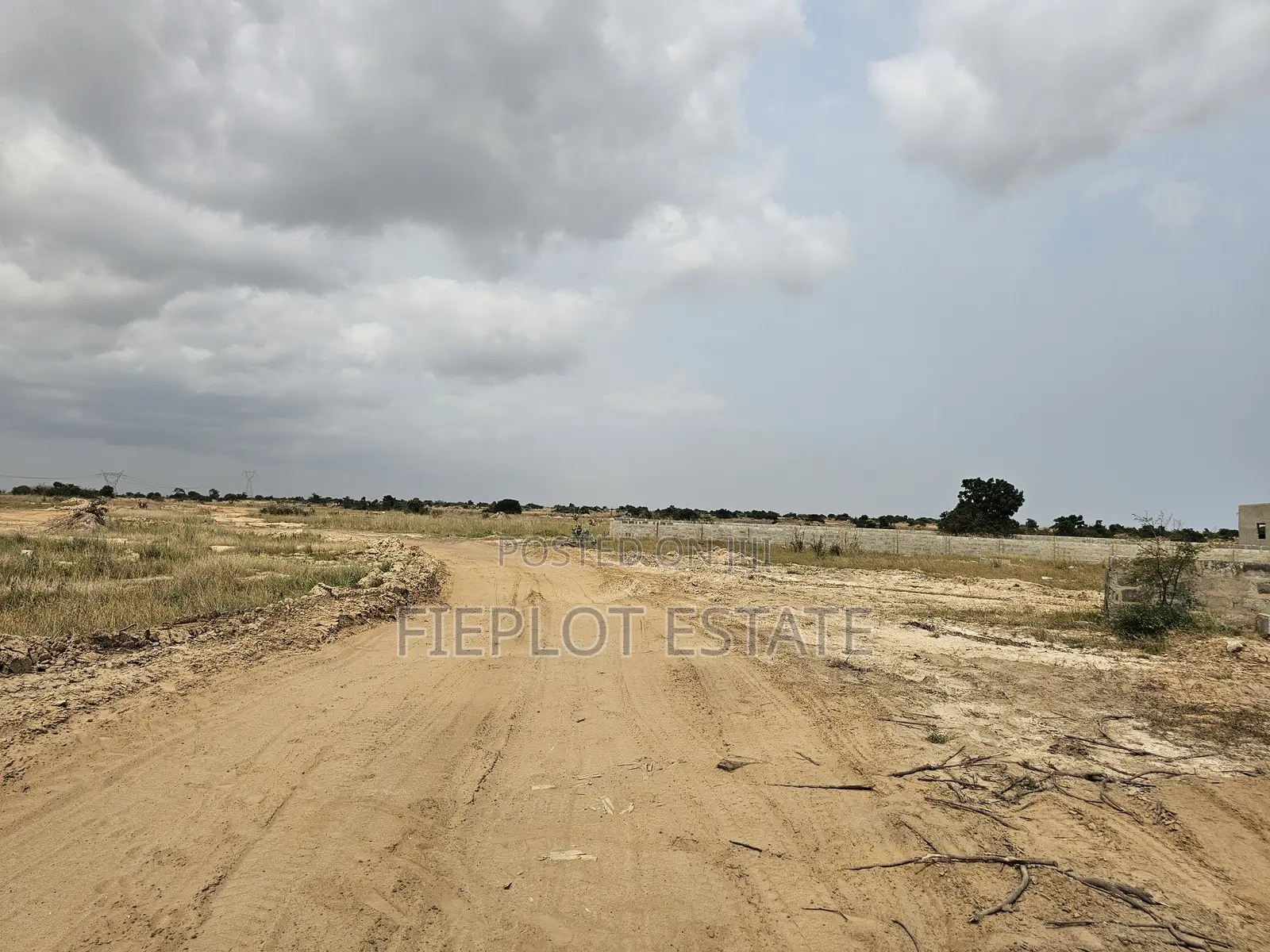Affordable Half Plot At Tsopoli With Convenient Payment Options
