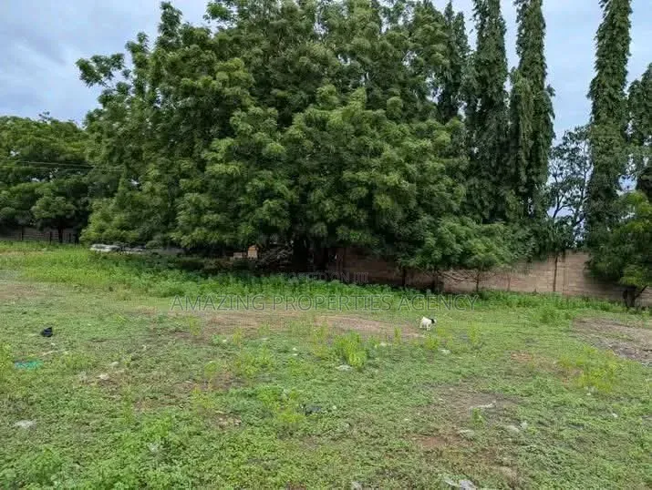Over One Plot of Land ( 125/70 ) Going for Sale at American House