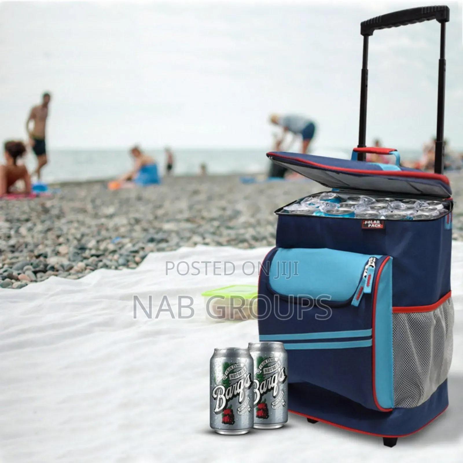Large Insulated Picnic Bag
