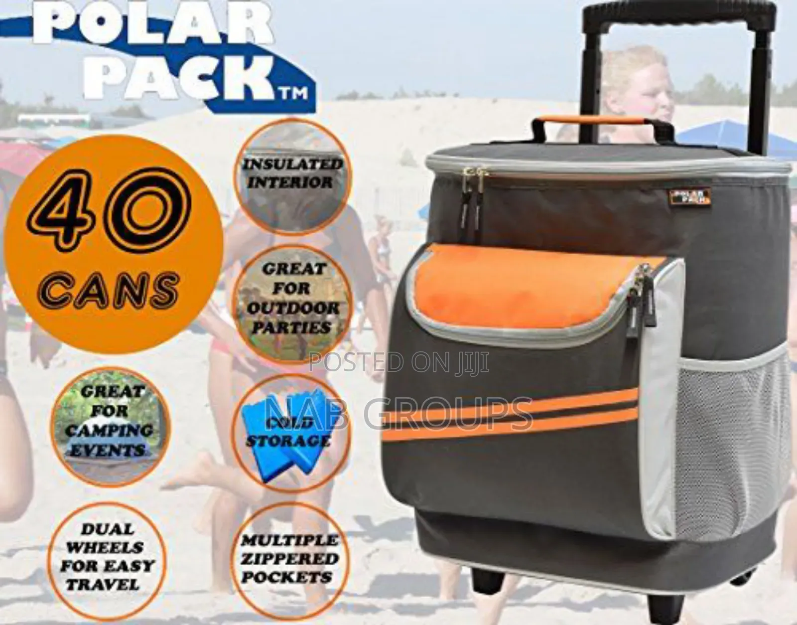 Large Insulated Picnic Bag