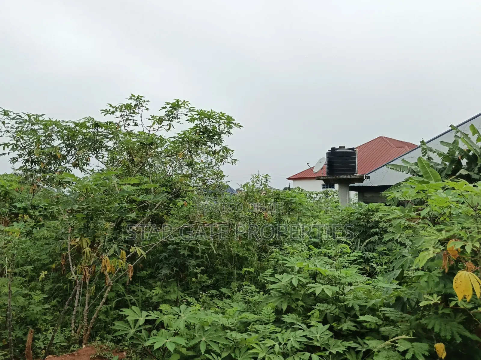 Half Plot for Sale at Ejisu Adadientem