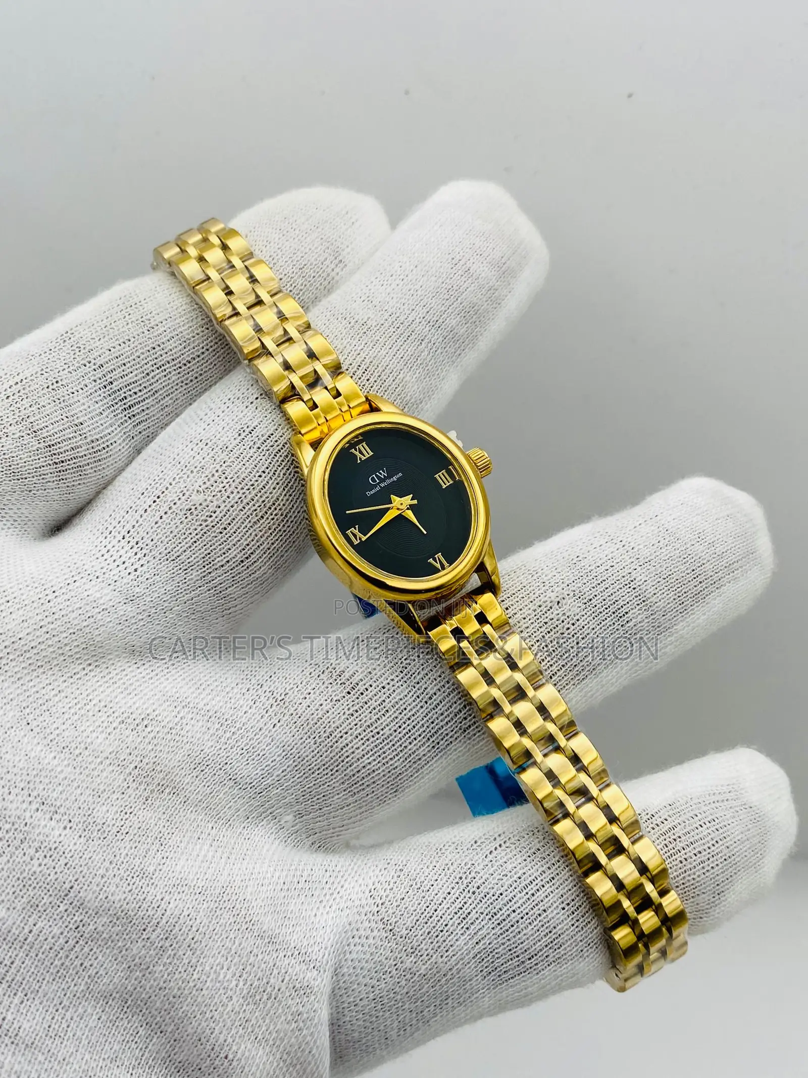 Daniel Wellington Classic Watches for Ladies